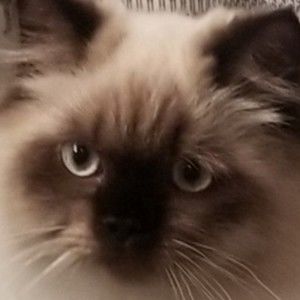 Meet your Posher, Jeanne